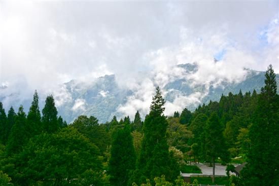 神木\/森林火车\/云海 台湾阿里山游记