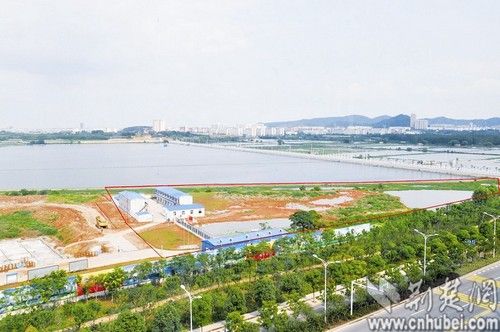 武汉填湖30亩建总部办公楼 新城区成填湖重灾区