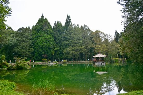 神木\/森林火车\/云海 台湾阿里山游记