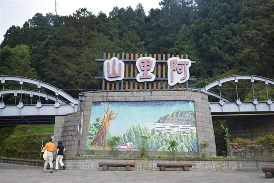 神木\/森林火车\/云海 台湾阿里山游记
