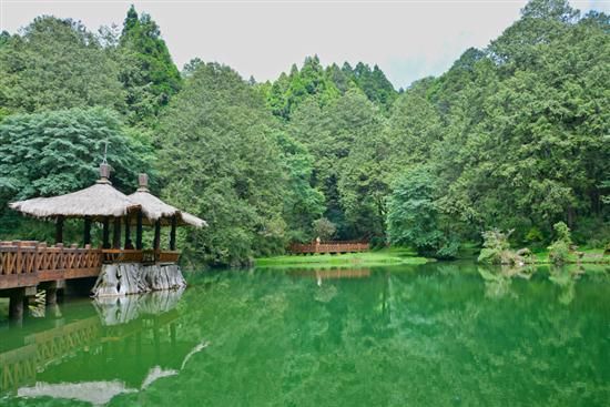 神木\/森林火车\/云海 台湾阿里山游记