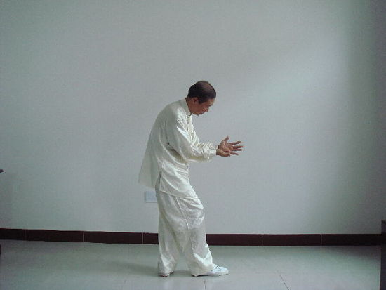 [连载]李仁平讲开合太极拳 四十八式 撇身捶(五